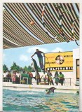 bnk cp Constanta - Delfinariu - necirculata