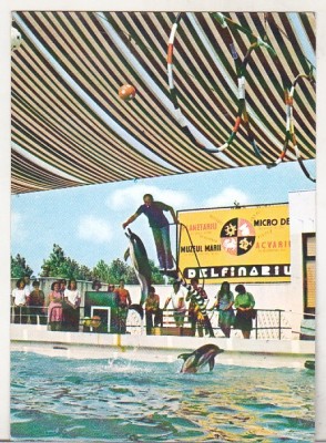 bnk cp Constanta - Delfinariu - necirculata foto