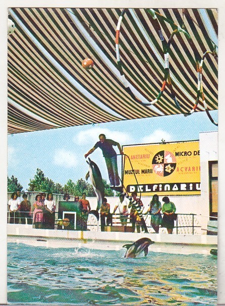 bnk cp Constanta - Delfinariu - necirculata
