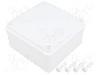 Carcasa ABS, polistiren, 100mmx100mmx50mm, IP65, PAWBOL - S-BOX 116B