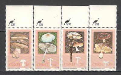 Ciskei.1987 Ciuperci DF.291 foto
