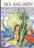 Dick King-Smith - Calutul de apa