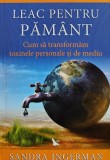 Cumpara ieftin Leac pentru pamant - 2010 - Sandra Ingerman (@D347)