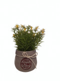 Floricele artificiale decorative in ghiveci ceramic Sweet home, 19 cm, Alb Verde, Oem