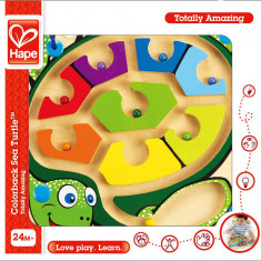 Hape labirint magnetic broasca testoasa