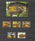 CAMBODGIA 2026 FAUNA INSECTE ALBINE