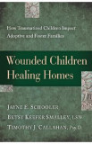 Wounded Children, Healing Homes - Jayne E. Schooler, Betsy Keefer Smalley, Timothy J. Callahan, Melody Carlson