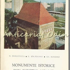 Monumentele Istorice Din Judetul Neamt - M. Dragotescu, D. Birladeanu