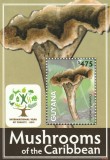 Guyana 2011 - Flora , Ciuperci , Colita , dantelata , MNH , Mi.Bl.842, Nestampilat