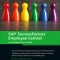 SAP Successfactors Employee Central: The Comprehensive Guide