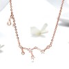 Colier Din Argint Constelatia LEU cod ARG380k, Argintboutique