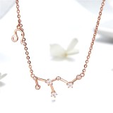 Colier Din Argint Constelatia LEU cod ARG380k, Argintboutique