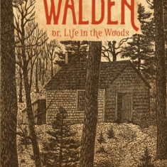 The Illustrated Walden: Or, Life in the Woods