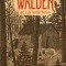 The Illustrated Walden: Or, Life in the Woods