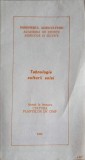 TEHNOLOGIA CULTURII SOIEI-COLECTIV-239698