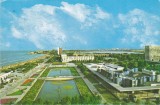 AMS - ILUSTRATA 1121, MAMAIA, CIRCULATA
