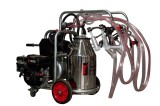 Aparat de muls oi sau capre Melasty galvanizat, motor pe benzina, 4 posturi si bidon inox 40 L