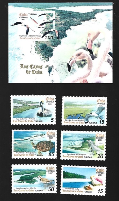 cuba pasari mnh
