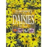 The Plantfinder&#039;s Guide to Daisies