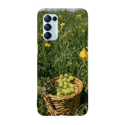 Husa compatibila cu Oppo Find X5 Lite model Grapes basket, Silicon, TPU, Viceversa foto