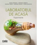 Laboratorul de acasa. Experimente - Silvia Olteanu, Iuliana Tanur, Adriana Neagu, Stefania Giersch, Elena Miclescu