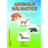 Animale salbatice. Set jetoane