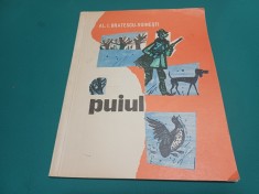 PUIUL * AL. I. BRĂTESCU-VOINEȘTI / ILUSTRAȚII NOEL RONI * 1970 * 60