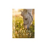 Fields of Grace: Sharing Faith from the Horse Farm