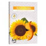 Set 6 lumanari parfumate tip pastila P15-330 FLOAREA SOARELUI DNC59164