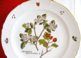 FARFURIE DECORATIVA PORTELAN LANGENTHAL ELVETIA DECOR BOTANICA - PADUCEL ANUL 1948 26 CM