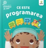 Cumpara ieftin Ce este programarea/Ruth Spiro, Irene Chan, Gama