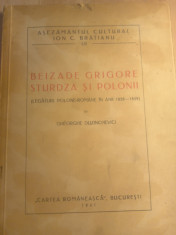 Beizade Grigore Sturdza și polonii,gheorghe duzinchievici,1941 foto
