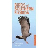 Birds of Southern Florida