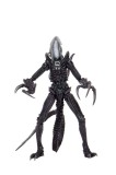 Alien vs Predator Action Figure Razor Claws Alien 22 cm