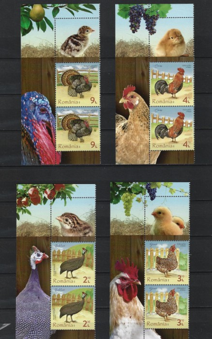 ROMANIA 2023 - PASARI DE CURTE, 2 VALORI+VINIETA+MANSETA, MNH - LP 2430