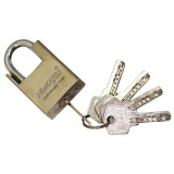 Cumpara ieftin Lacat protectie cu amprenta 75 mm