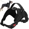 Ham Caini Dactylion, Marimea S, Pana la 22kg, Negru, Reflectorizant, Fara Presiune, Ajustabil, Poliester+Bumbac