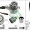INA 530 0699 30 Set pompa apa + curea dintata