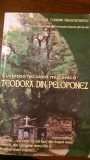 Cuvioasa fecioara mucenica Teodora din Peloponez Monarh L.Gherontianou 2007