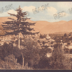 3477 - RUCAR, Arges, Panorama, Romania - old postcard - used - 1912