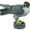 Figurina Soim calator S Collecta