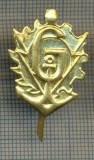 Y 1727 INSIGNA- MILITARA -SEMN DE ARMA - GENIU -PENTRU COLECTIONARI
