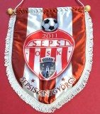 Fanion de protocol - fotbal SEPSI OSK SFANTU-GHEORGHE (vezi foto un mic defect pe verso)