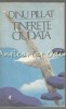 Tinerete Ciudata - Dinu Pillat, Editura Minerva, 1984, Roman
