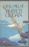 Cumpara ieftin Tinerete Ciudata - Dinu Pillat