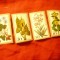 Serie RFG 1978 - FLORA , 4 valori , pliu la val. 70