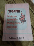Tiganii istorie, specific, integrare sociala