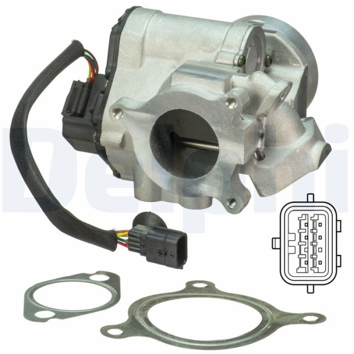 DELPHI EG10495-12B1 Supapa EGR