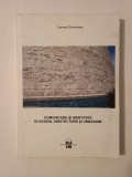 Carmen Dumitrescu - Comunicare și identitate &icirc;n design, arhitectură și urbanism