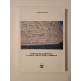 Carmen Dumitrescu - Comunicare și identitate &icirc;n design, arhitectură și urbanism